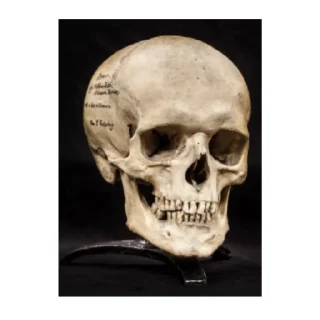 Стикер EMU-PACK 3.0 - 3