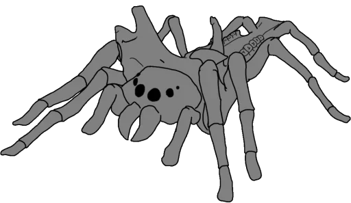 Стики 8058 из @Anonymnyi_chat_bot - 