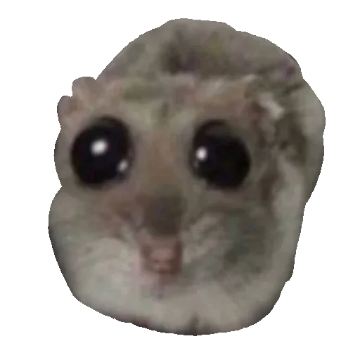 @sticksbb 🩷 <- канал со стиками - 