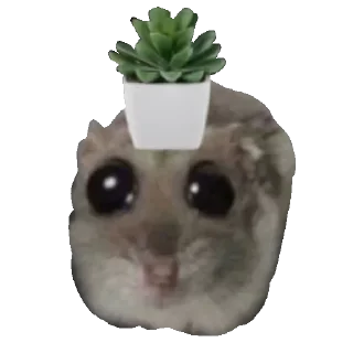 Sticker @sticksbb 🩷 <- канал со стиками - 11