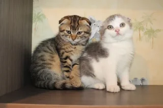 Sticker Пак создан в @moyi_stikery_bot - 5