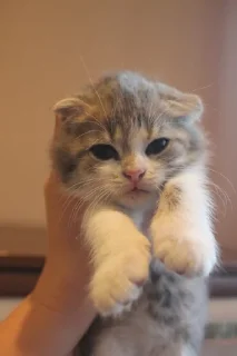 Sticker Пак создан в @moyi_stikery_bot - 3