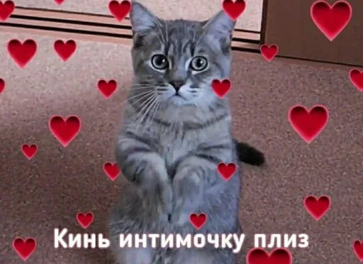 Sticker EUieUII_by_achestickbot - 1