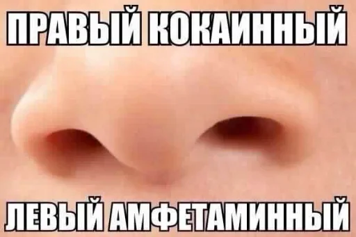 Sticker EUieUII_by_achestickbot - 1