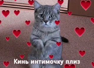 Sticker Больше стиков тут: @stikery4 - 7