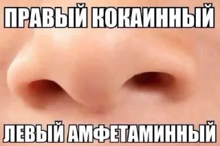 Sticker Больше стиков тут: @stikery4 - 3