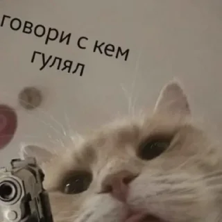 Sticker @tgstikery - Stickers 🧩 - 2