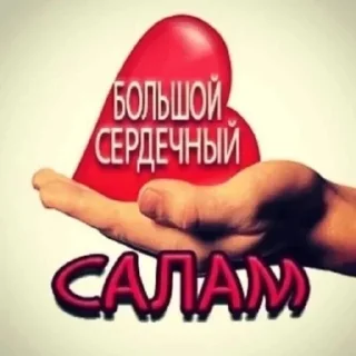 Sticker @tgstikery - Stickers 🧩 - 8