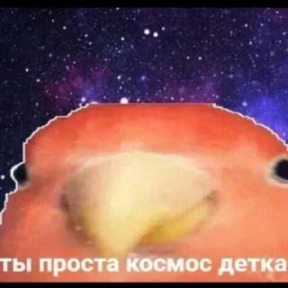 Sticker @tgstikery - Stickers 🧩 - 11