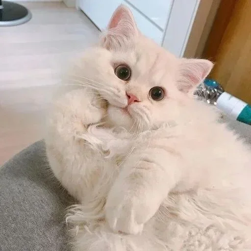 Sticker Стики 3084 из @Anonymnyi_chat_bot - 2