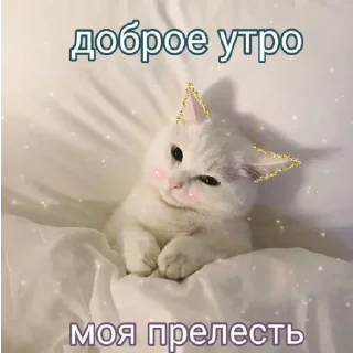 Sticker Больше стикеров: @sticerru - 9