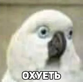 Sticker Больше стиков тут: @stikery4 - 2