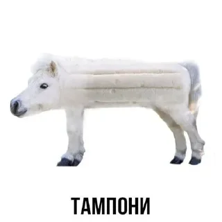 Sticker Создай стикеры в @new_stickerbot - 4