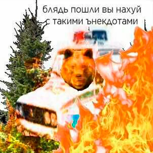 E 8 А 7 Ь - animal