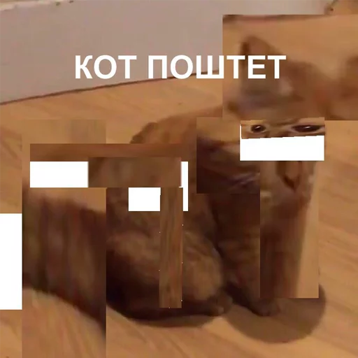 text screenshot floor