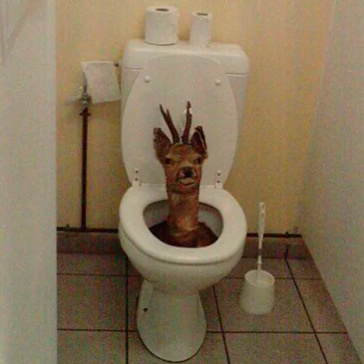 wall indoor bathroom