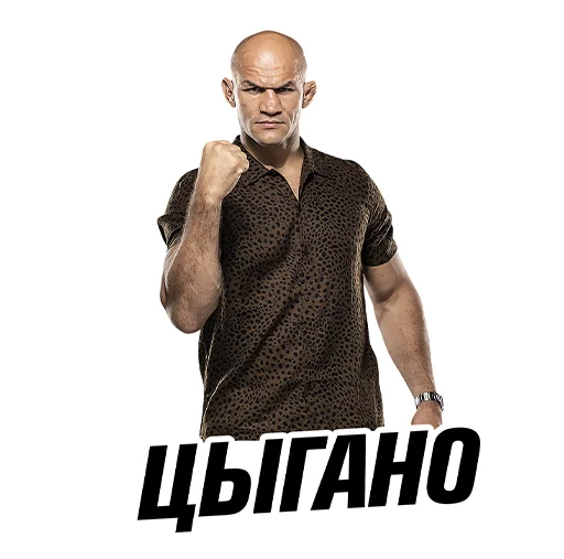 Sticker Eagle FC - 7