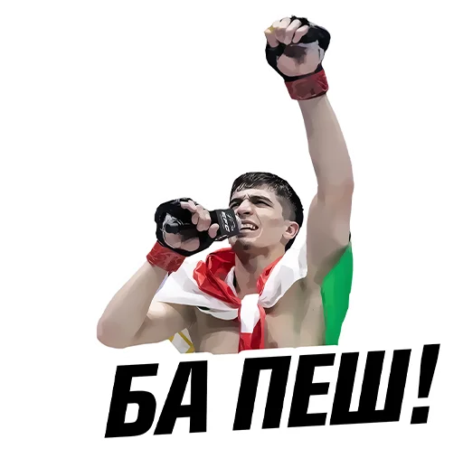 Sticker Eagle FC - 5