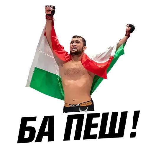 Sticker Eagle FC - 3