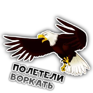 Sticker EAGLE TEAM - 10