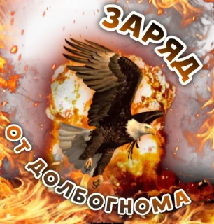 Sticker EAGLE TEAM - 6