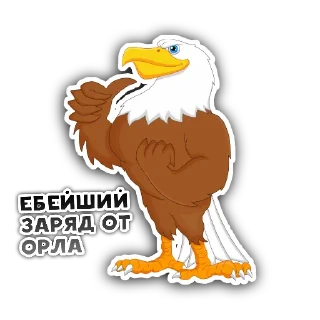 Sticker EAGLE TEAM - 4