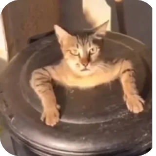 Sticker Ебалаи - 0