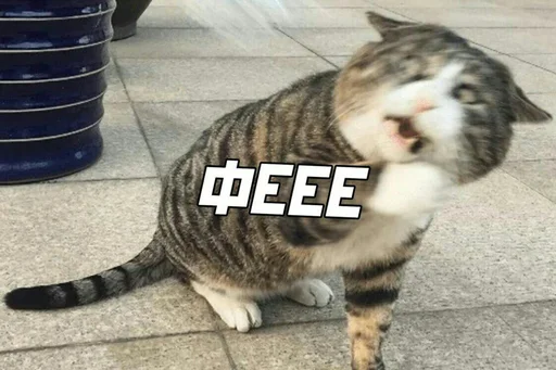 Sticker Серьёзное ебало - 0