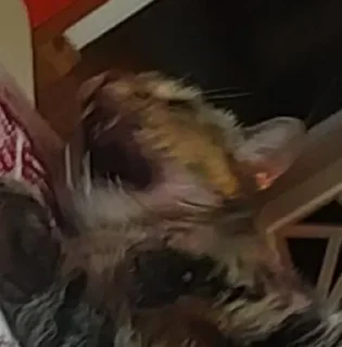 Sticker Серьёзное ебало - 9