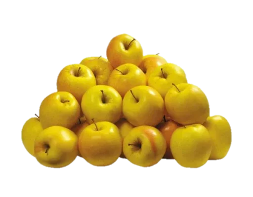 Sticker EbashXA431 - 1