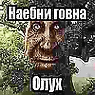 Стикер ебла джеометри даше @DimaKrytoiMc - 1