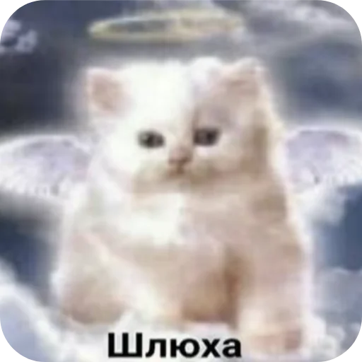 Стикер Eblan3601 - 1