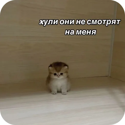 Sticker Eblan3601 - 1