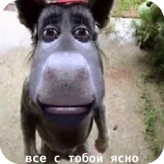 Sticker Еблан - 5