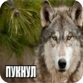 Sticker Еблан - 6