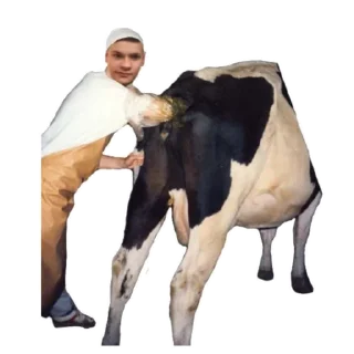 Sticker Eblat Sportik - 4