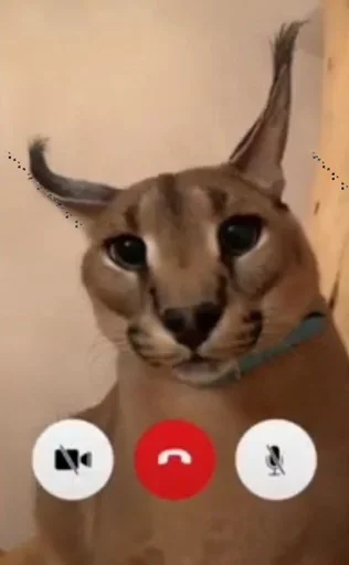 Sticker Ебло (@i_Love_Akame) - 11