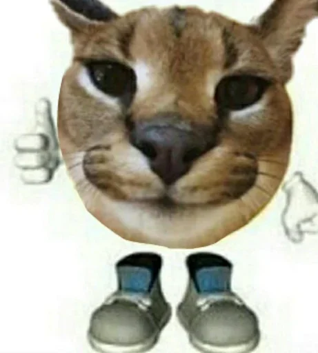 Sticker Ебло (@i_Love_Akame) - 4