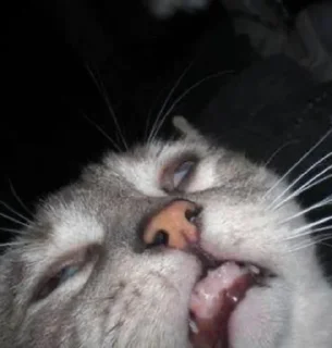 Стикер Миллион чувств - 0