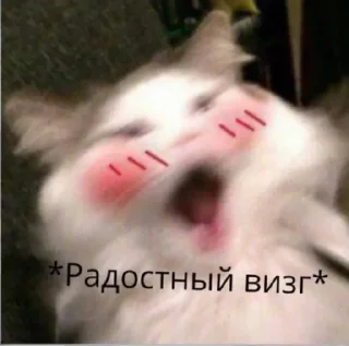 Стикер Миллион чувств - 11