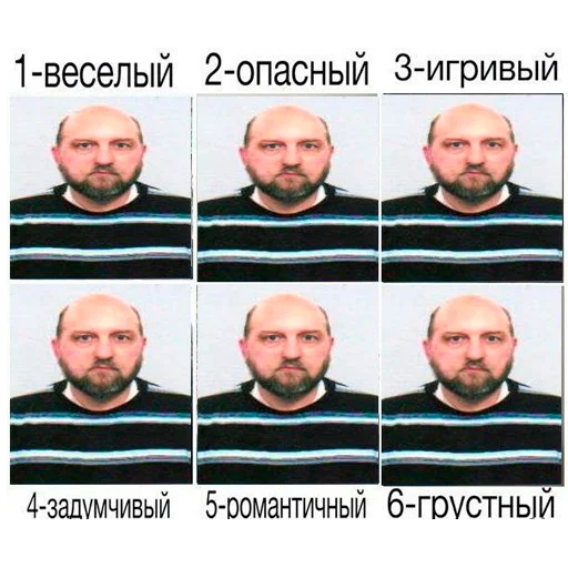 Sticker BarkinAss - 5