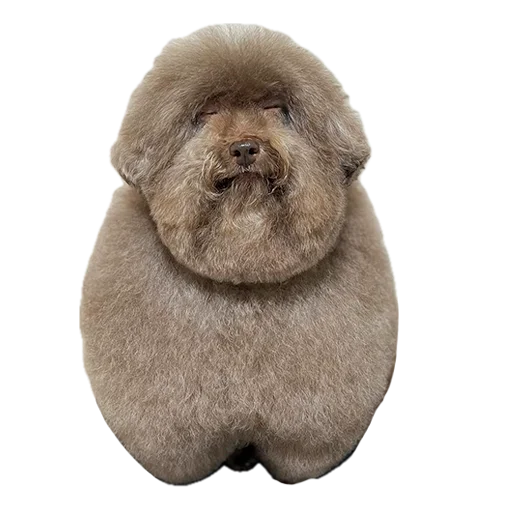 Sticker Ebuchii_princess - 1