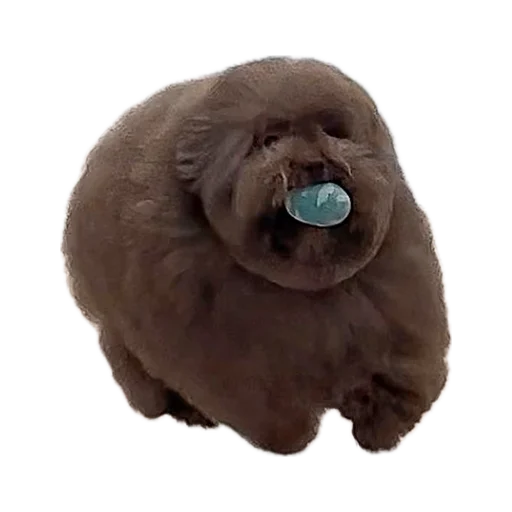 Sticker Ebuchii_princess - 1