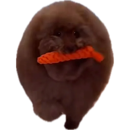 Sticker Ebuchii_princess - 1