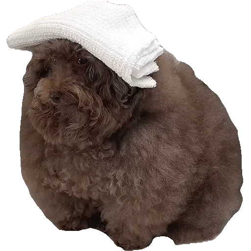 Sticker Ebuchii_princess - 1