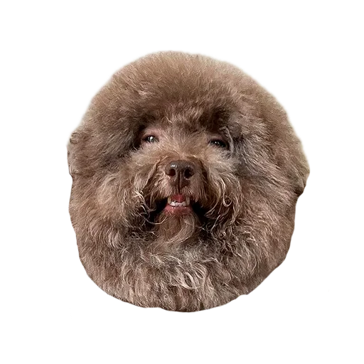 Sticker Ebuchii_princess - 1