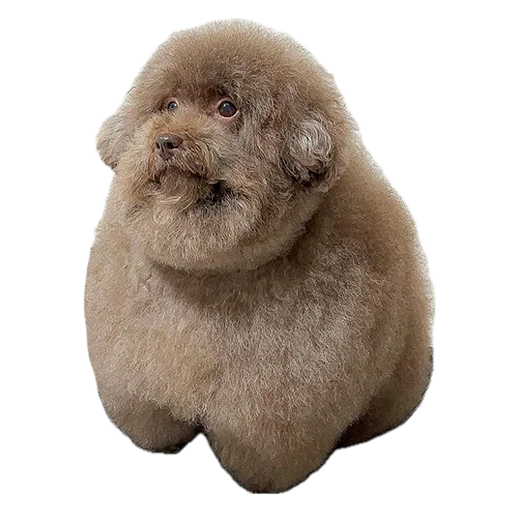 Sticker Ebuchii_princess - 1