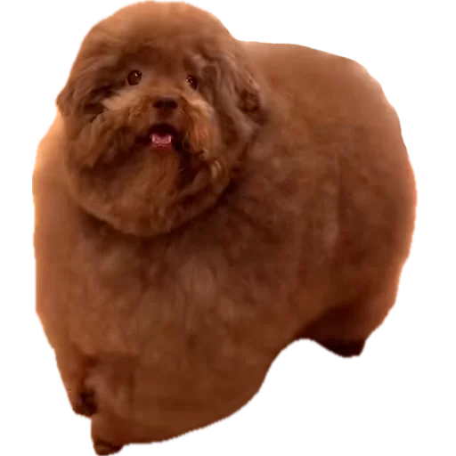 Sticker Ebuchii_princess - 1