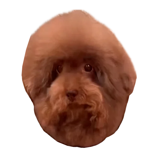 Sticker Ebuchii_princess - 1