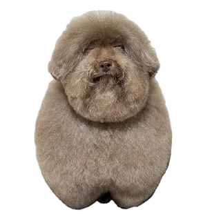 Sticker ebuchii - 10